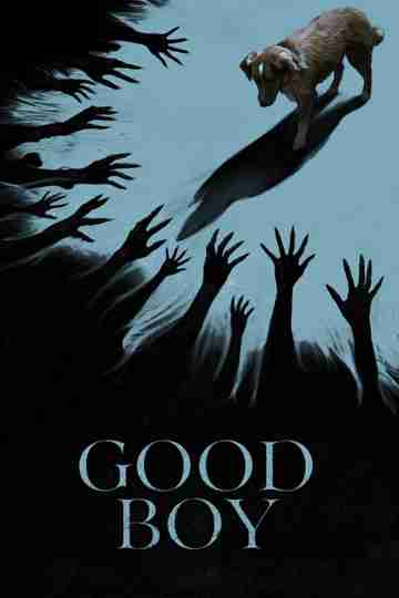Good Boy Poster