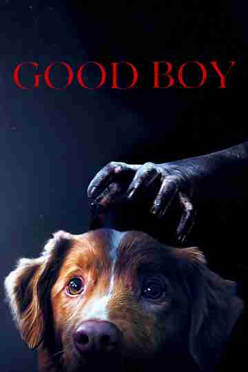 Good Boy Poster