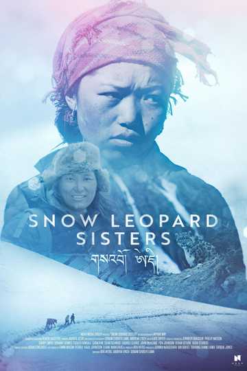 Snow Leopard Sisters poster