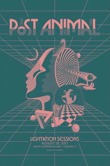 Post Animal - Levitation Sessions Poster