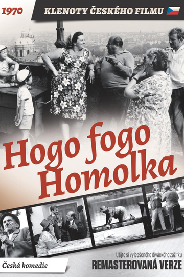 Hogo Fogo Homolka Poster