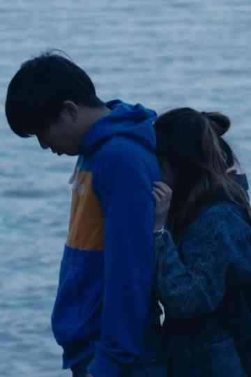 The Idiot’s Back Poster