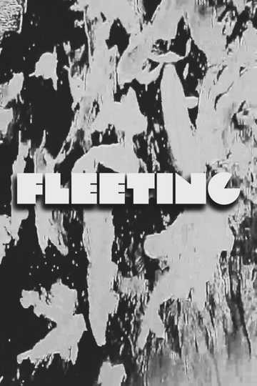 FLEETING Poster