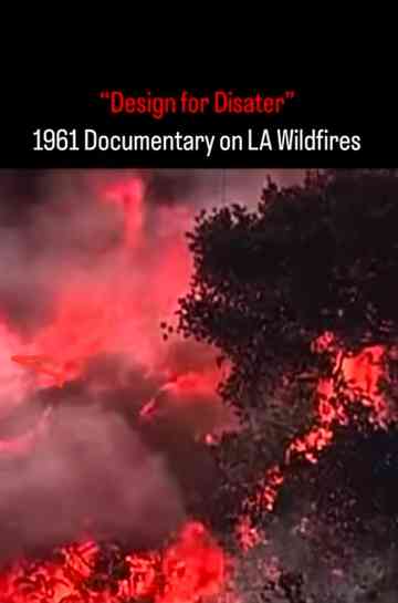 Design for Disaster Poster