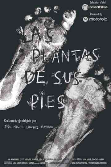 Las plantas de sus pies
