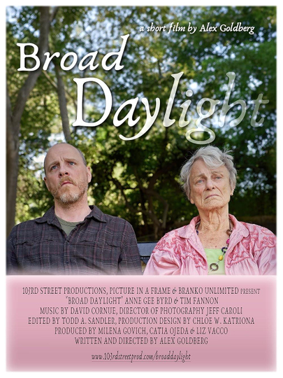 Broad Daylight Poster