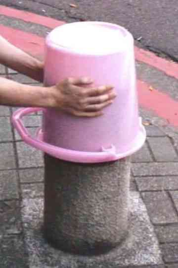 Everything is Everything Poster