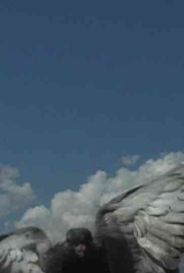 Six kilomètres Poster