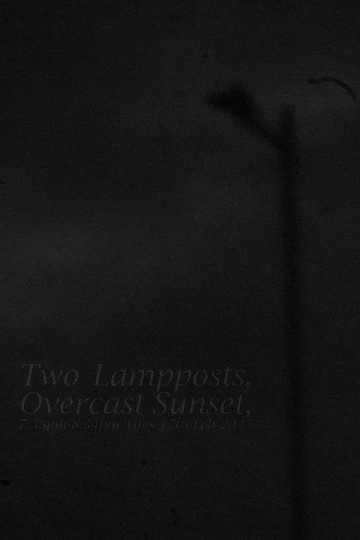 Two Lampposts, Overcast Sunset, 7.58pm-8.34pm Tues 17th Feb 2025