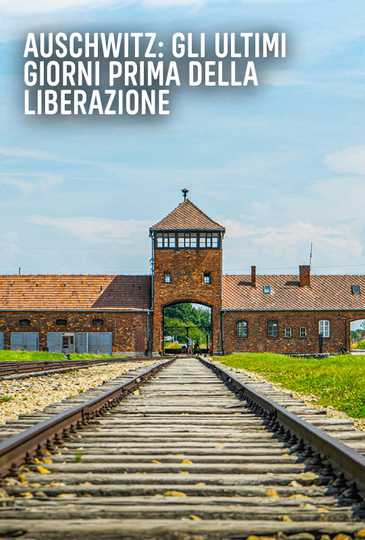 Auschwitz: Countdown to Liberation Poster