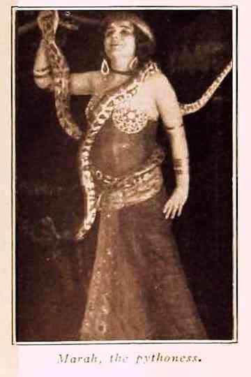 Marah, the Pythoness