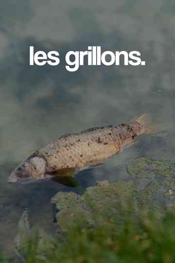les grillons.
