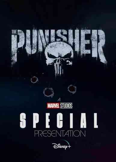 Untitled The Punisher Special Poster