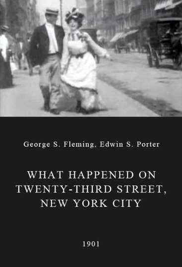 What Happened on Twenty-Third Street, New York City Poster