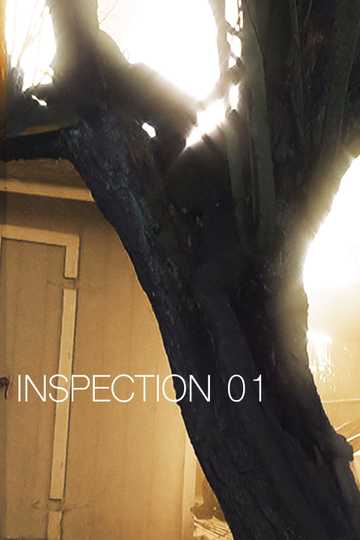 Inspection 01