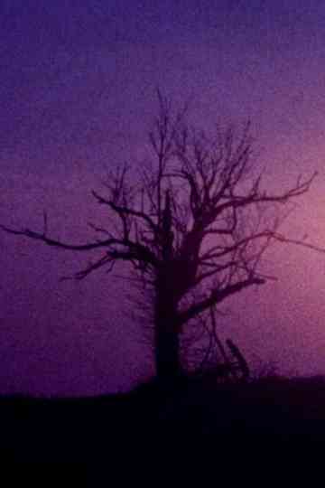 Fainter Echoes