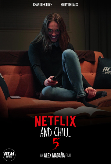 Netflix and Chill 5 Poster