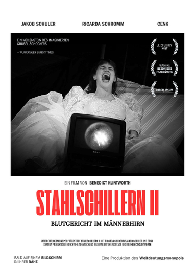 Stahlschillern II - Blutgericht im Männerhirn Poster