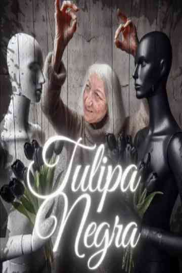 Tulipa Negra