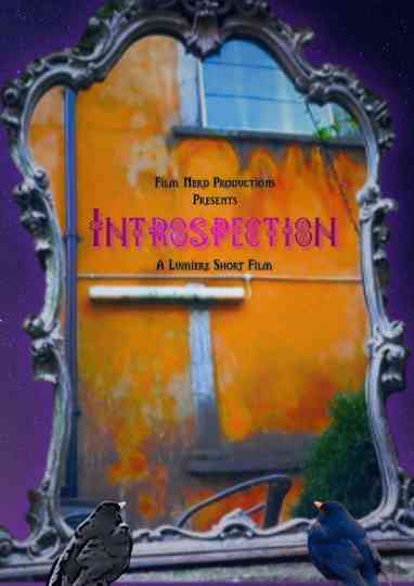 Introspection