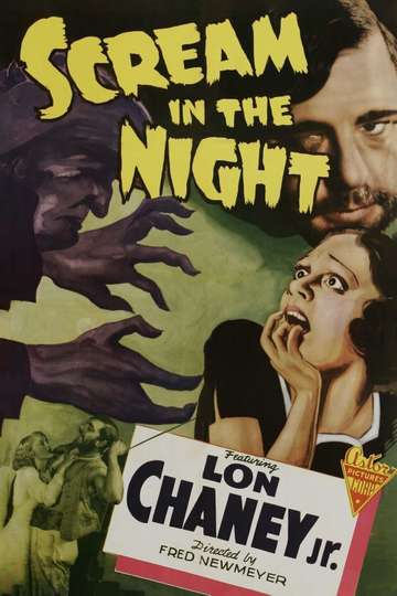 A Scream in the Night Poster