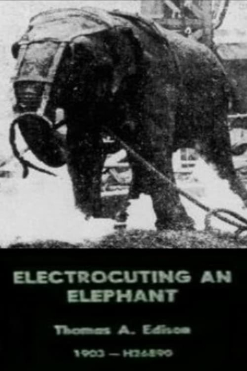 Electrocuting an Elephant Poster