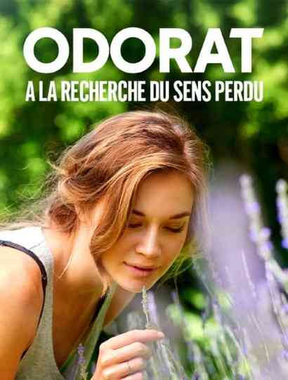Odorat : à la recherche du sens perdu