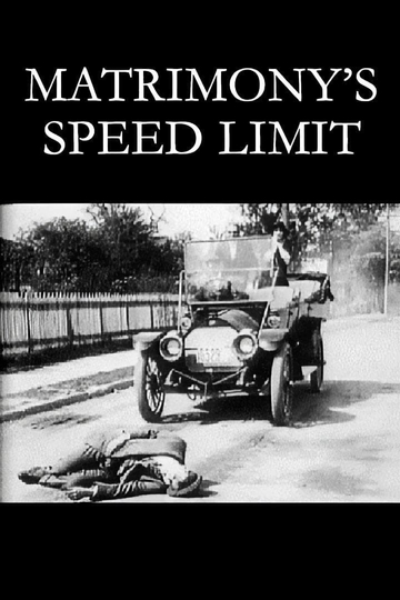 Matrimony's Speed Limit Poster