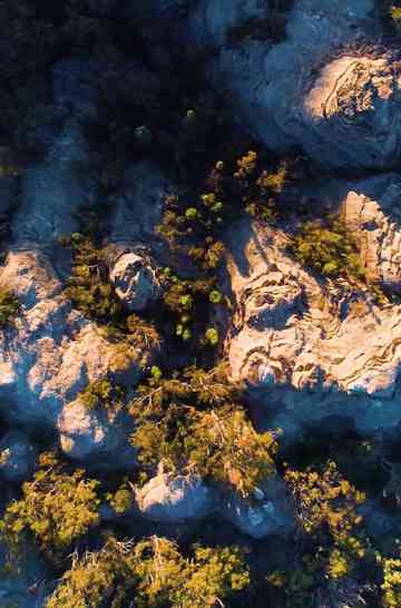 Gardens of Stone