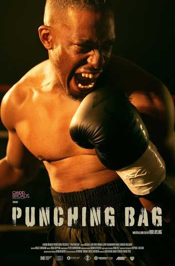 Punching Bag