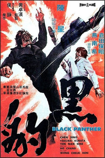 The Black Panther Poster