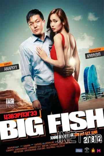 Big Fish - Cleaning