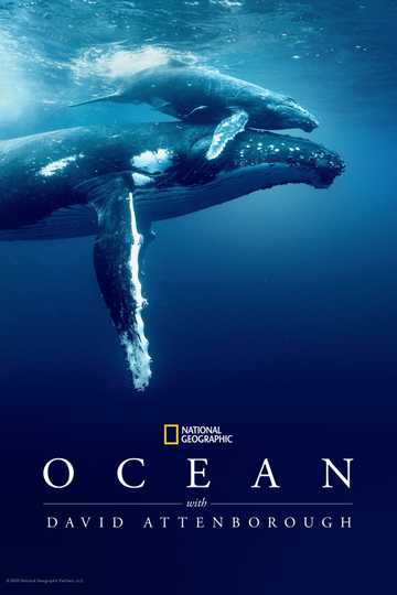 Ocean with David Attenborough Poster