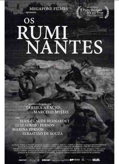 Os Ruminantes Poster