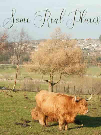 Some Real Places Poster