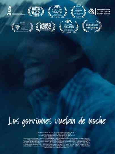 Los gorriones vuelan de noche Poster