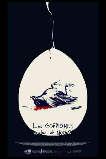 Los gorriones vuelan de noche
