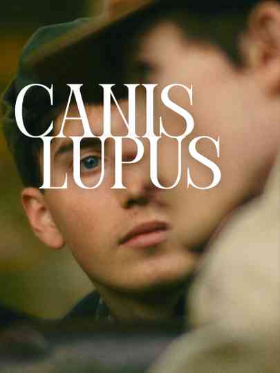 Canis Lupus