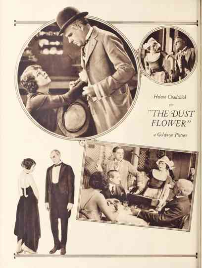 The Dust Flower