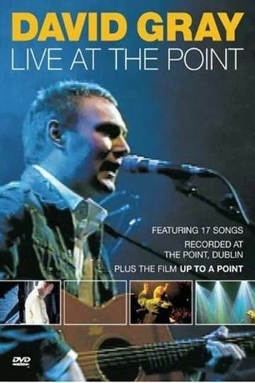David Gray Live at the Point Poster