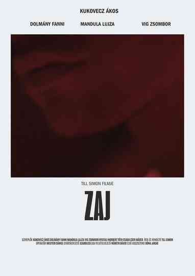 Zaj