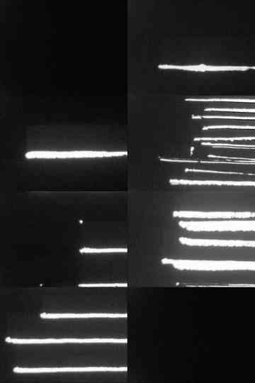 Photosynthesis part 1 Poster