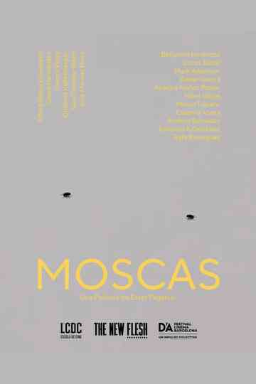 Moscas