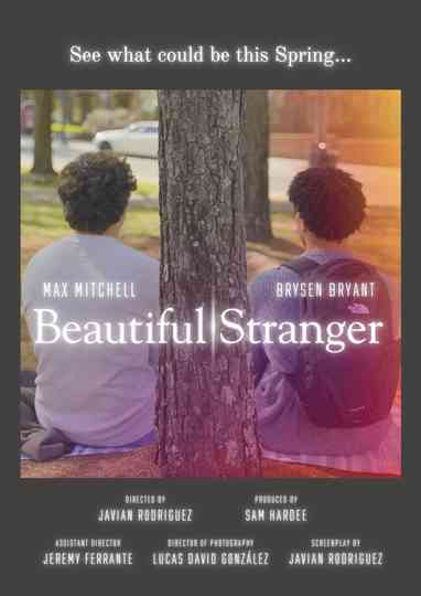 Beautiful Stranger