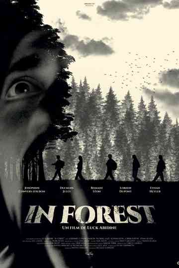 In Forest