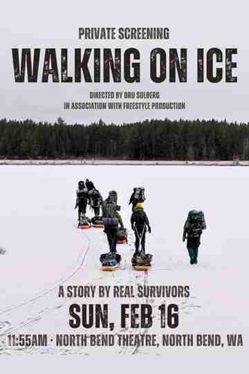 Walking on Ice Poster