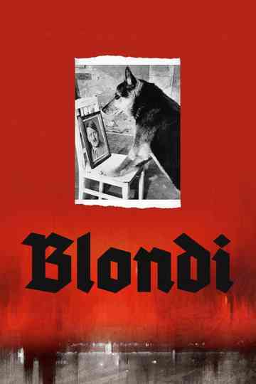 Blondi