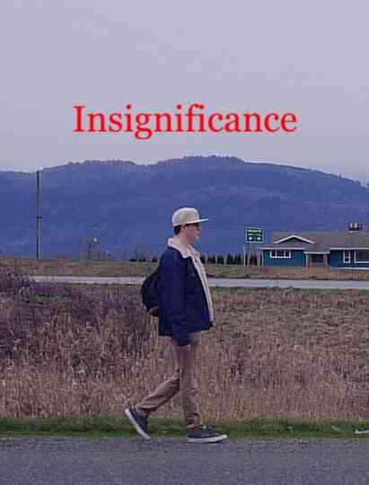 Insignificance Poster