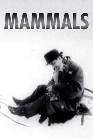 Mammals Poster