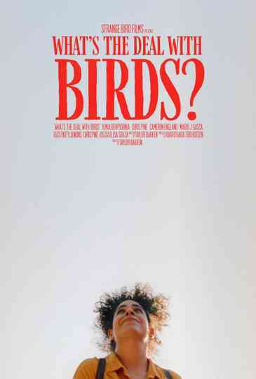 What's The Deal With Birds?